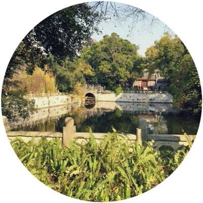 神捕风云游戏下载